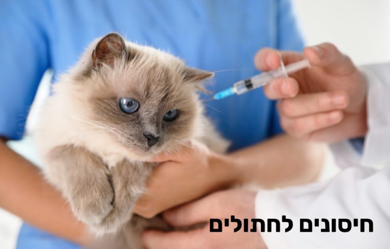 חיסונים לחתולים