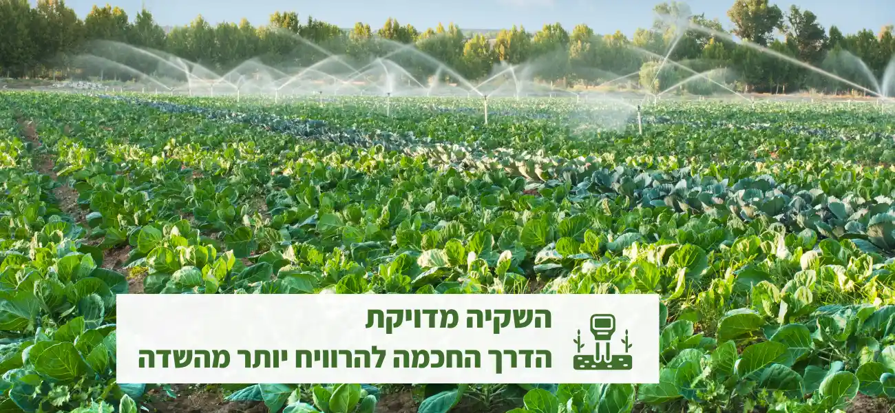 השקיה מדויקת לשדה