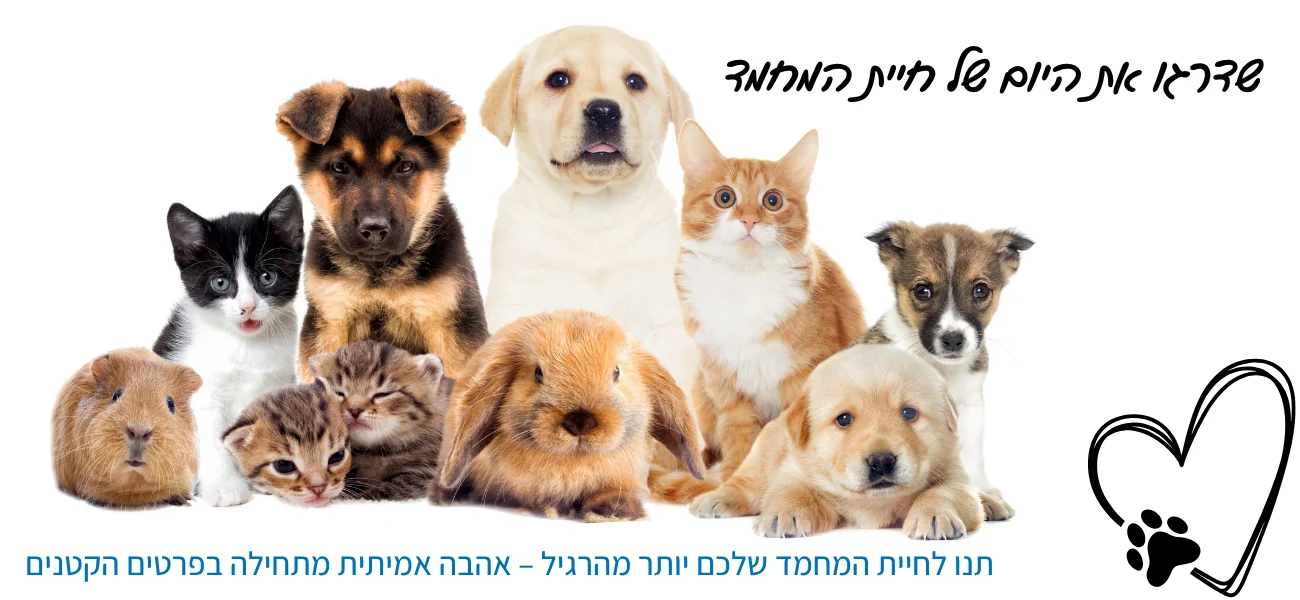 שדרגו את היום של חיית המחמד